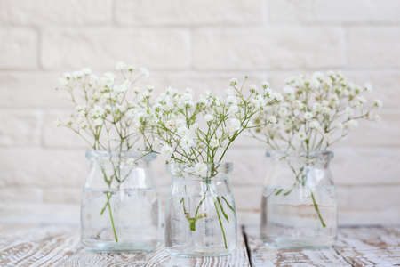 White delicate of baby's breath flowers gypsophila in glass vases on light background. Floral composition in home interior. Soft focusの写真素材