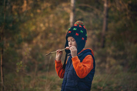 Boy eats a sausage fried on a stick at the stake in summer forest.の写真素材