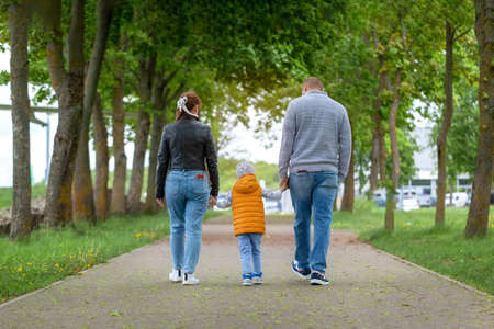 Happy family walking in the summer park and holding hands. Back view.