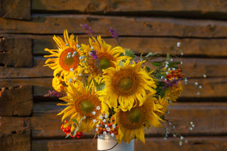 Beautiful autumnal bouquet of bright yellow sunflower flowers in white vase on wooden table in countryside. Autumn still life with garden flowers.の写真素材