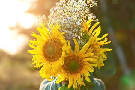 Cute kid boy holding bouquet of fields sunflowers in autumn sunset day. Child giving flowers. Autumn and thanksgiving concept.の写真素材