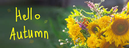 Beautiful autumnal bouquet of bright yellow sunflower on green nature background in countryside. Banner. Autumn still life with garden flowers.の写真素材