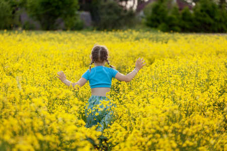 Unrecognizable little girl running through yellow rape flowewrs field. Girl in blue dress hands...
