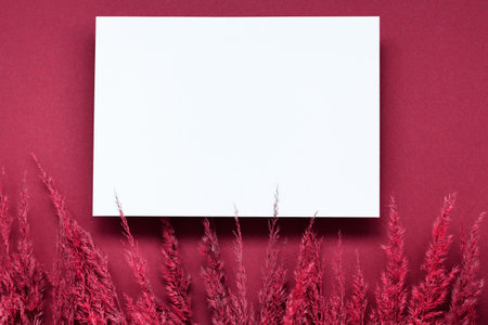 Mockup with empty blank paper and dried pampas grass over pastel beige background. Minimal, stylish,...
