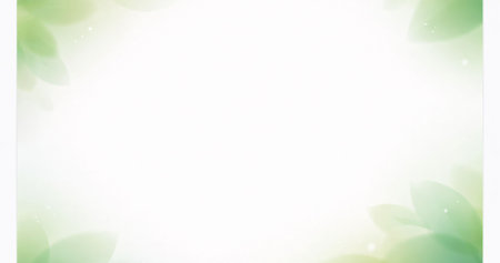 Fresh green leaves on white background with space for text or image.の写真素材