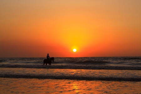 Riding horse at the beach during sunset timeの写真素材