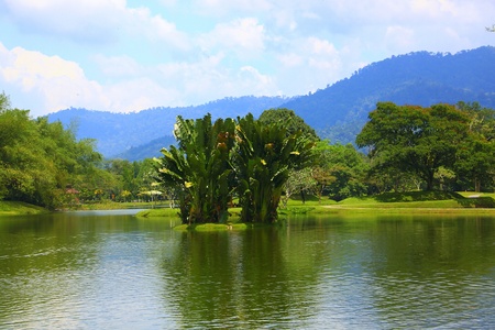 Panoramic view of public lake garden at Taiping, Perak, Malaysiaの写真素材
