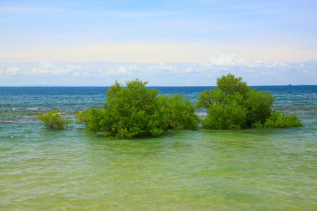 Sea view at Bak-Bak Beach, Kudat, Sabah, Malaysiaの写真素材