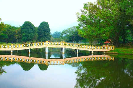 Panoramic view of public lake garden at Taiping, Perak, Malaysiaの写真素材