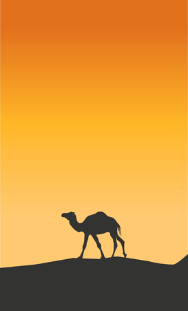 Camel going through the desert Illustration background
のイラスト素材