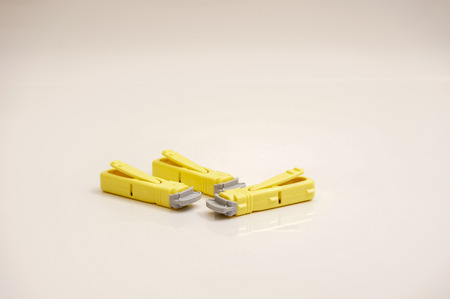 yellow lancet isolated with white backgroundの写真素材