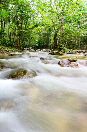 River stream with smooth flowing water in tropical rain forestの写真素材