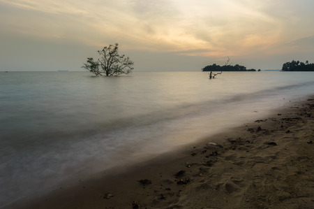 sunset at the beachの写真素材