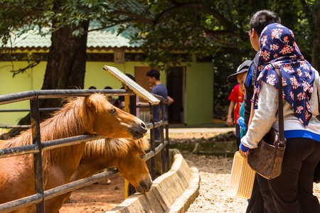 malacca, malaysia - august 15, 2019 : tourists and locals at the Zoo malacca, malaysiaのeditorial素材