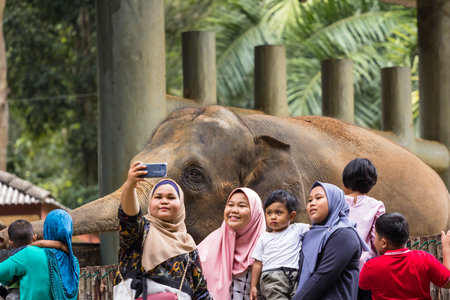 malacca, malaysia - august 15, 2019 : tourists and locals at the Zoo malacca, malaysiaのeditorial素材
