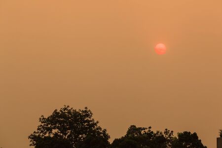 beautiful view of sunrise at the parkの写真素材