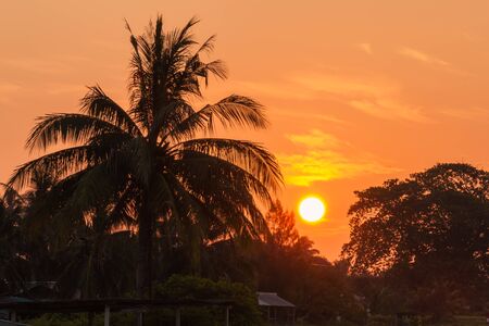 colorful sky cloudscape during the sunrise with tree silhouetteの写真素材