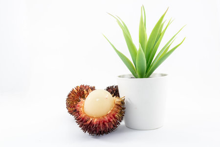 Wild Tropical Pulasan fruit (Nephelium mutabile Blume) closely linked to the rambutan, with short and stumpy hairs on thicker shellの写真素材