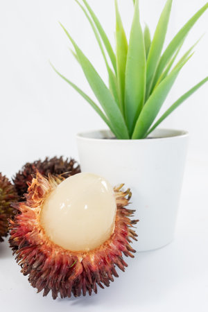 Wild Tropical Pulasan fruit (Nephelium mutabile Blume) closely linked to the rambutan, with short and stumpy hairs on thicker shellの写真素材
