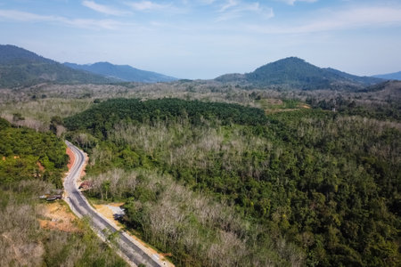 top view of greenery villages at malaysiaの写真素材