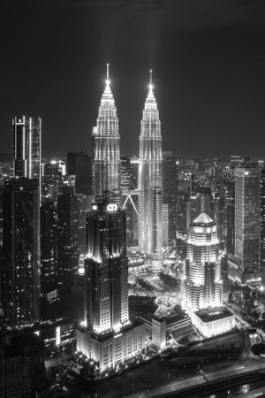 Modern skyscrapers pierce the inky sky, a testament to urban ingenuity.
