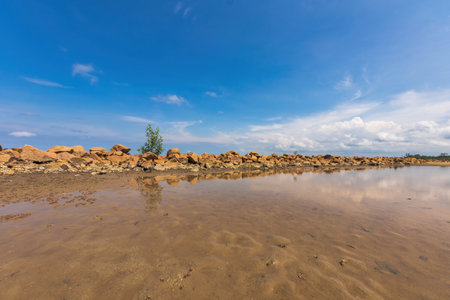 A lone tree finds footing on a rocky shoreline, bathed in the bright sunlight of a clear day.の写真素材