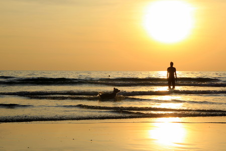 Koh Chang, Thailand. A man with a dog on the sunset beach.の写真素材