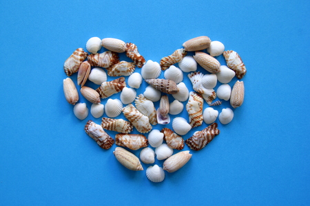 A heart from different seashells on the blue background for Valentine's Day.の写真素材