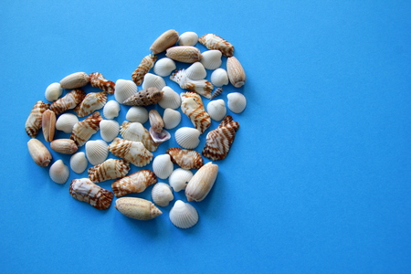 A heart from different seashells on the blue background for Valentine's Day.の写真素材