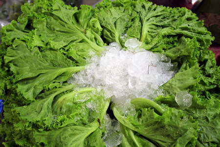 Travel to Bangkok, Thailand. The green salad with an ice on the market.の写真素材