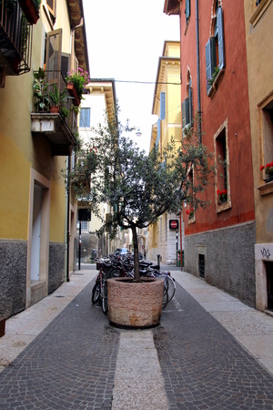 Travel to Verona, Italy. The view on the street with fragment of the buildings facade and the big pot plant.の写真素材