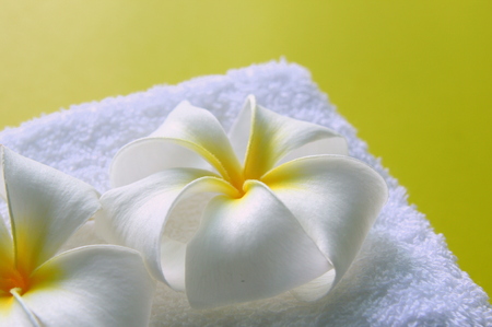 White towel with flowers of plumeria on the yellow background for spa theme.の写真素材
