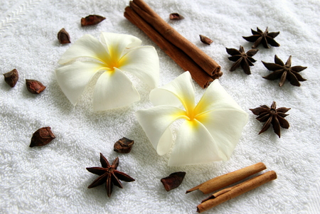 Flowers of plumeria with stars of anise and cinnamon sticks on the white background for spa theme.の写真素材
