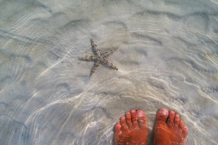 Travel to Phi Phi island, Thailand. A starfish on a sand under the sea waves.の写真素材