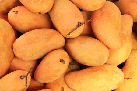 Travel to island Koh Lanta, Thailand. The ripe tasty yellow mango close up on a market.