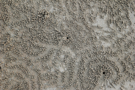 Travel to island Koh Lanta, Thailand. The traces of the crabs on the sand beach.の写真素材