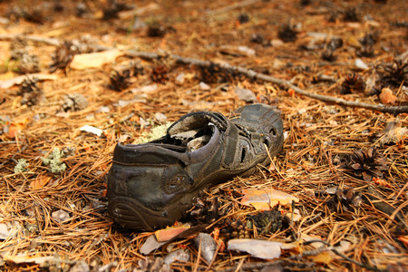 Russia, Siberia. Old shoe on a grass in a forest.の写真素材