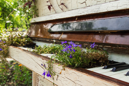 The old white piano with flowers on the street.の写真素材