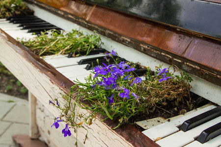 The old white piano with flowers on the street.の写真素材