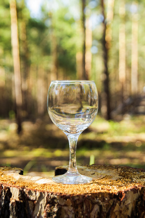One empty wineglass on a stump on a background of a summer forest in a sunny day.の写真素材