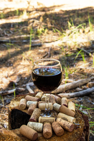 A glass with a red wine and wine corks on a stump in a summer forest in a sunny day.の写真素材