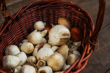 The brown basket with champignons on a wooden background, top view. Russia, Siberia.の写真素材