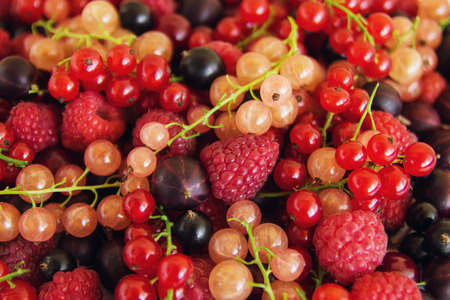 Mixed summer berries (raspberry, blackcurrant, redcurrant, white currant, gooseberry, cherry) on the white wooden background, top view.の写真素材
