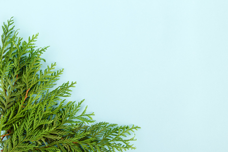 Christmas flat lay composition of fir branches at the left bottom corner with copy space on the blue background.の写真素材