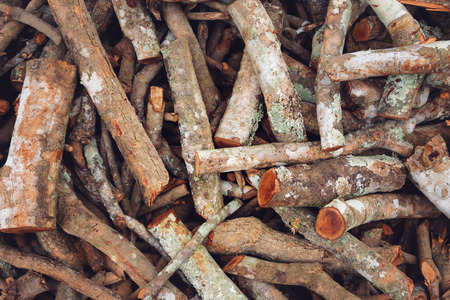 Stacks of dry textured firewood closeup.の写真素材