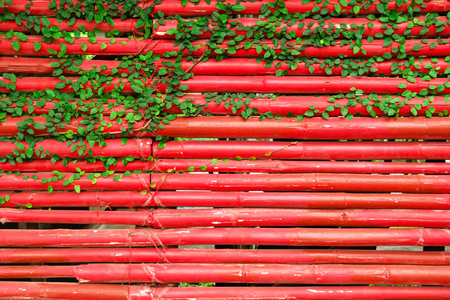 Red wooden wall with green curly plants. Chiang Mai, Thailand.の写真素材