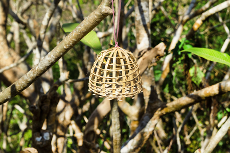 Small wooden cage for birds on a tree on a Pho Si hill on a background of a town. Luangprabang, Laos.の写真素材