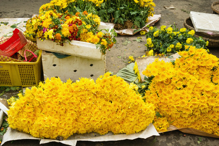 Yellow flowers of chrysanthemums on a street flower market.の写真素材
