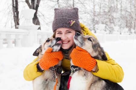 Beautiful smiling young woman with her two dogs in a snowy winter park.の写真素材