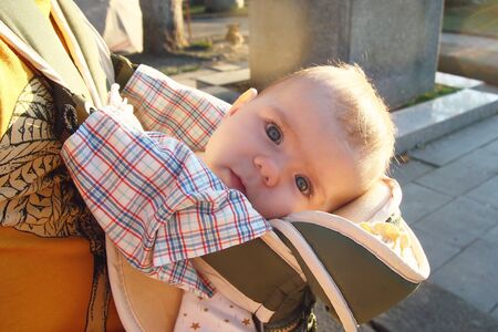 Cute little girl in ergo carrier on a walk with her father.の写真素材